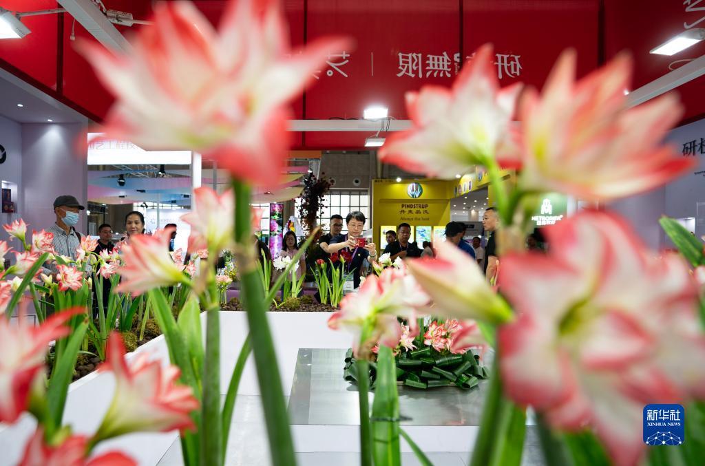乐游游戏下载